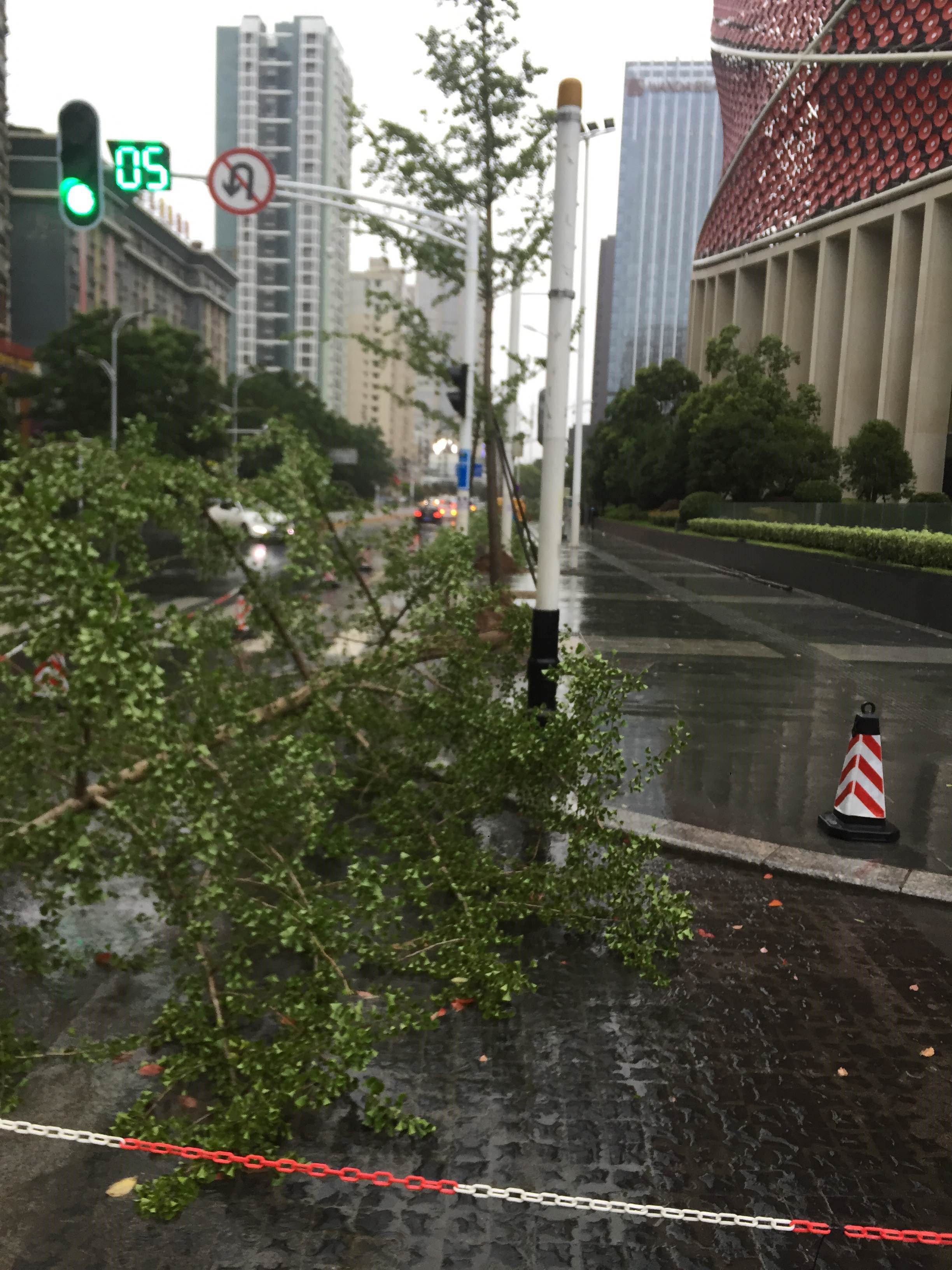 武汉遇雷雨大风天气 武昌区启动恶劣天气紧急应对预案