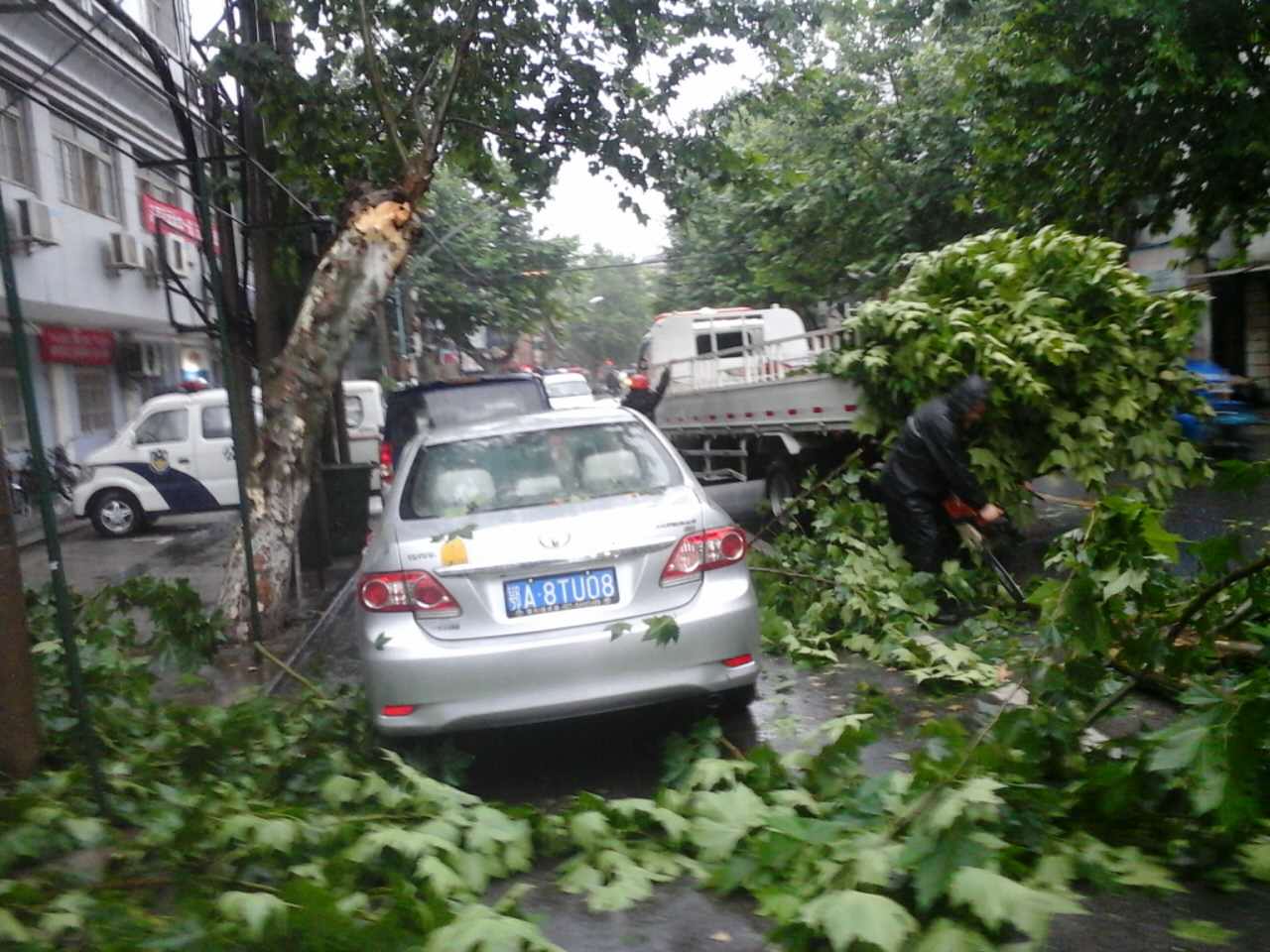 武汉遇雷雨大风天气 武昌区启动恶劣天气紧急应对预案