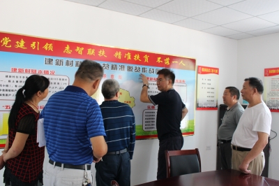 派驻市农委纪检组工作人员到新洲区李集街建新村开展扶贫工作监督检查