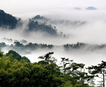 【黄陂】全国各地网络达人畅游武汉黄陂云雾山