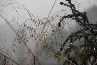 昨天"晴深深"今天"雨蒙蒙" 今起3天武汉要飘毛毛雨